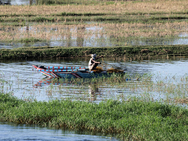 Fisherman