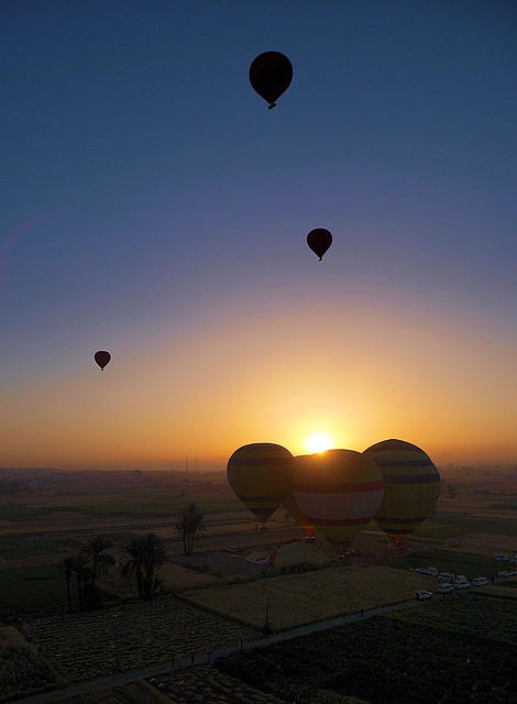 Balloons at Dawn