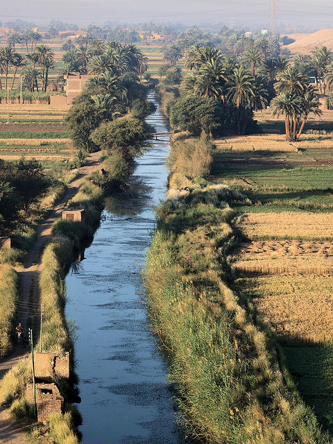Nile Irrigation