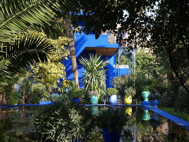 Majorelle Gardens Pond