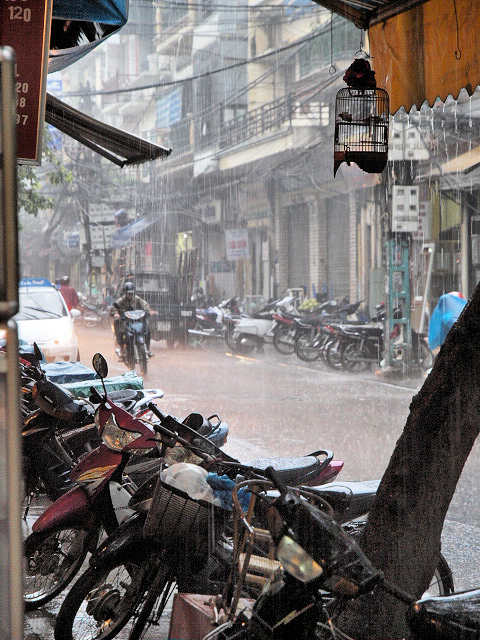 Hanoi in the Rain
