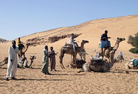 Camel Herders
