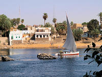 Houses on the shore