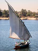 Felucca in Full Sail