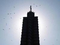 Jose Marti Tower Bats