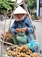 Fruit Seller